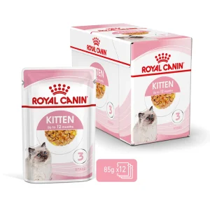 Kitten Jelly V氓tf么r for katt 12x85g