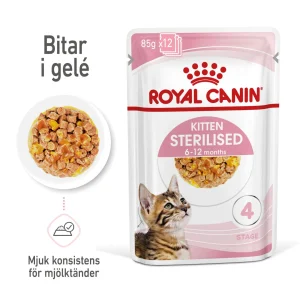 Kitten Sterilised Jelly V氓tf么r for kattunger