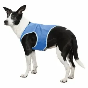 Kjølevest