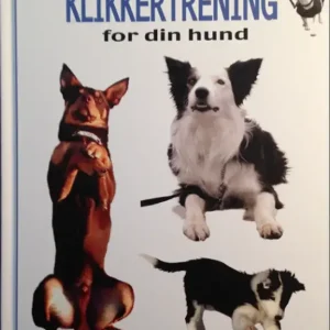 Klikkertrening for din hund