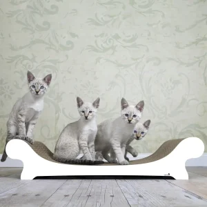 Kloremøbel til katt luksus sofa
