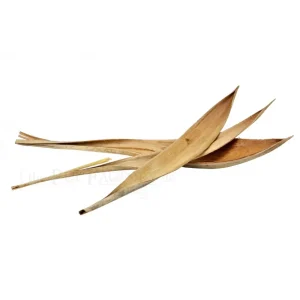 Kokosløv 10-25cm 3stk