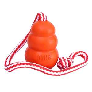 KONG Aqua Large