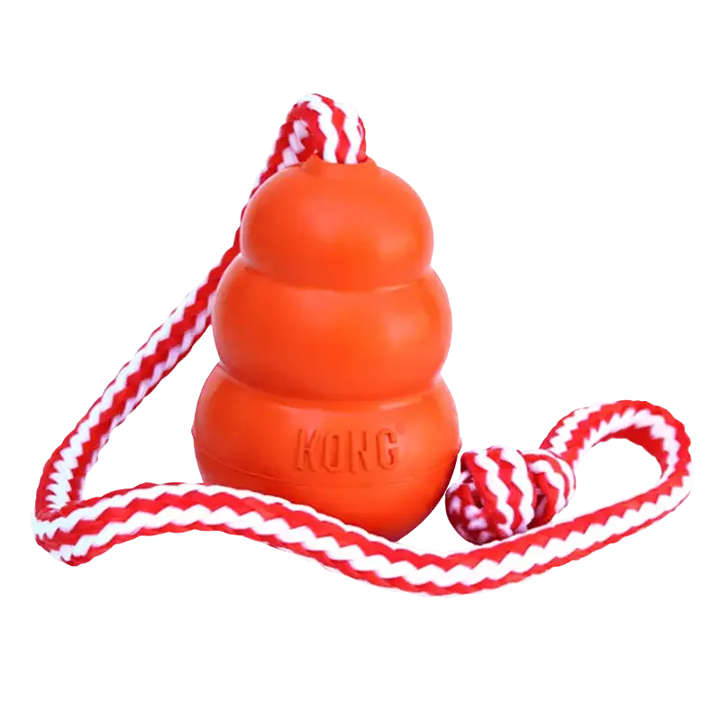 KONG Aqua Large