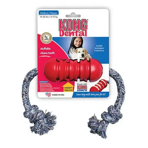 KONG – Dental m. rep