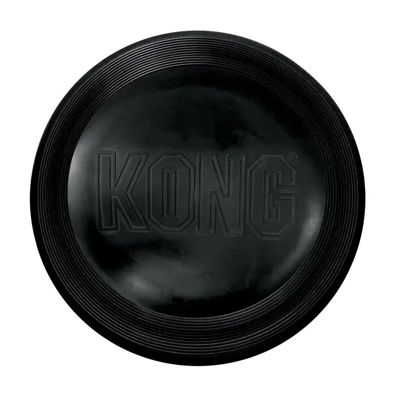 KONG Extreme Flyer