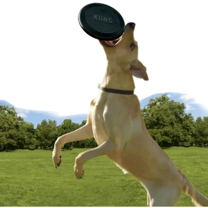 Kong Extreme Frisbee