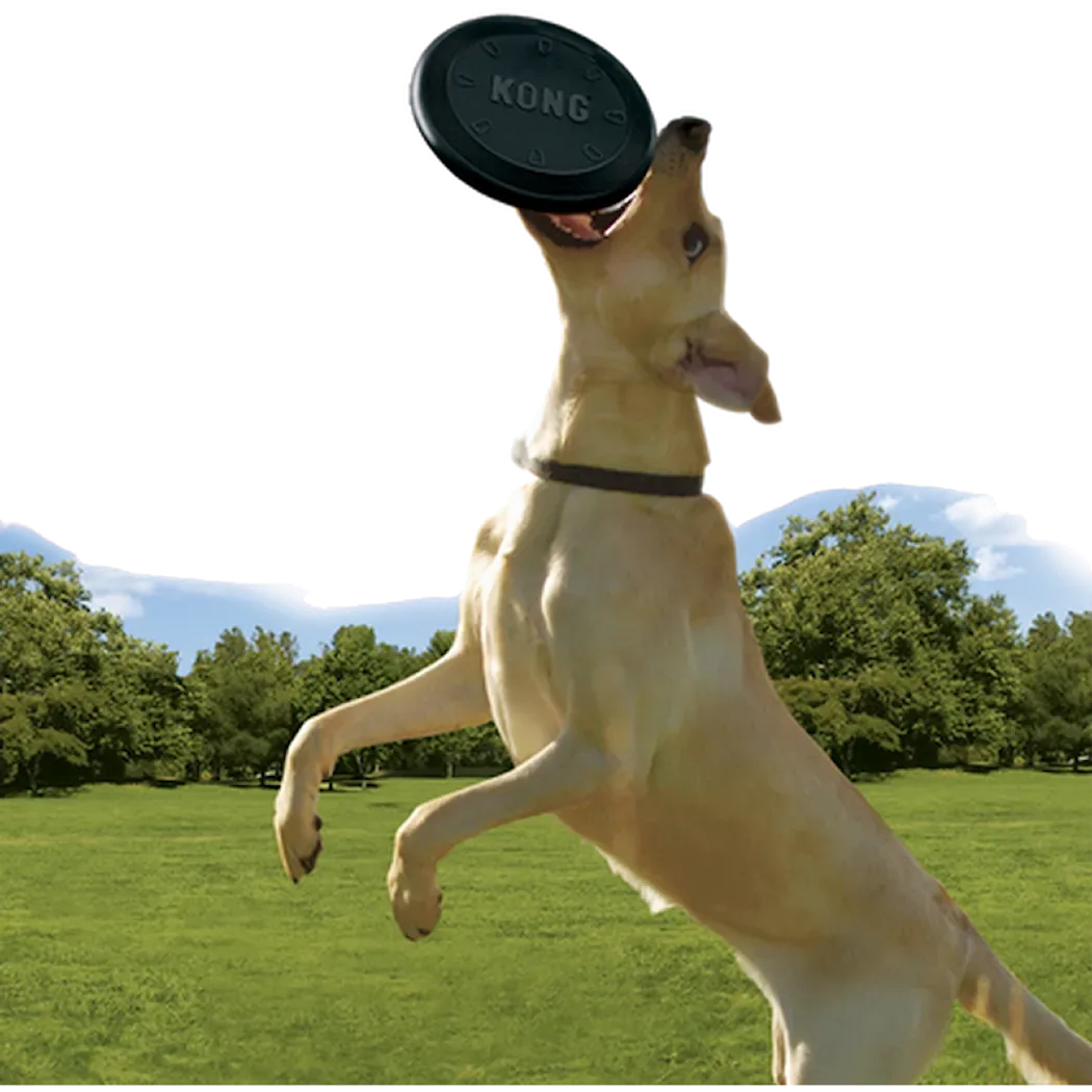Kong Extreme Frisbee