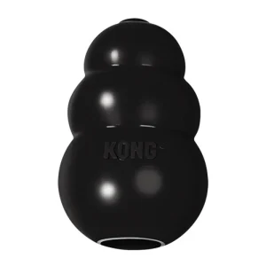 KONG Extreme svart