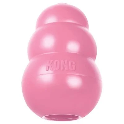Kong puppy Rosa Medium