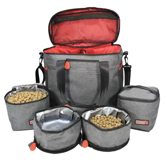 KONG Travel Bag
