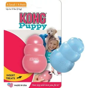 KONG – Valp