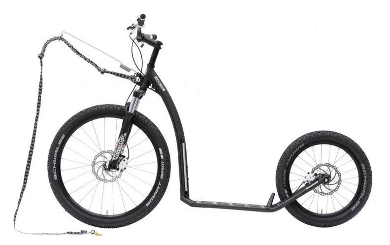 KOSTKA Mushing Pro