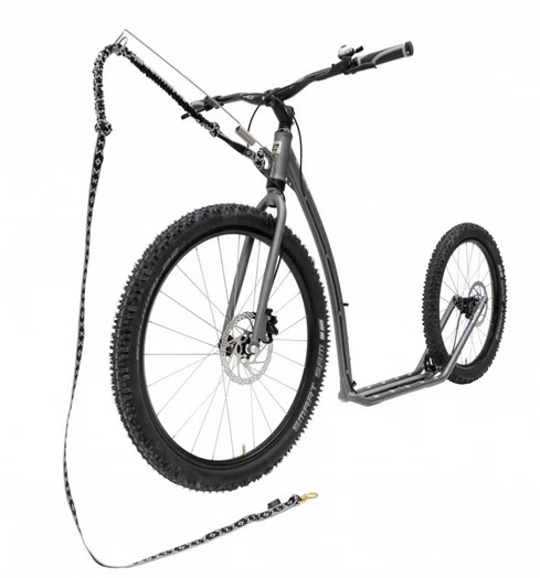 KOSTKA Mushing Racer Max - Image 2