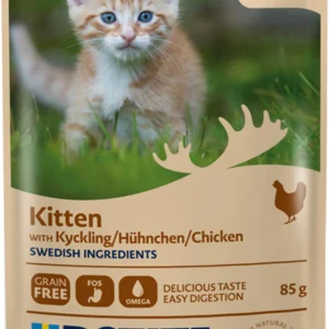 Kyckling i s氓s f枚r kattunge