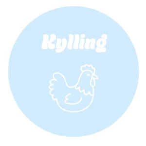 Kylling BURGER