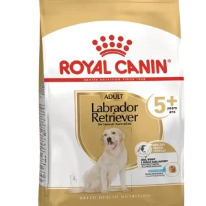 Labrador Retriever Adult 5+ Hundef么r 12kg