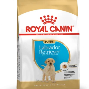 Labrador Retriever Puppy T酶rrf么r for hund 12kg