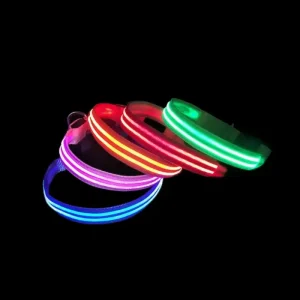 LED-halsbånd – synliggjør din hund