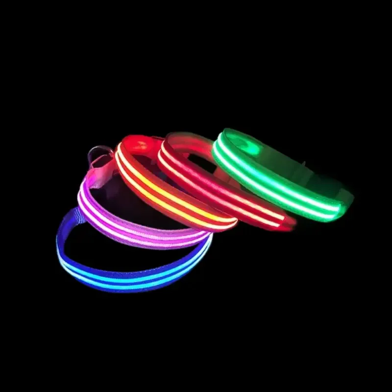 LED-halsbånd – synliggjør din hund