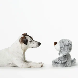 Leke Faro Hund