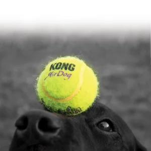 Leke SqueakAir Tennisball Gul L