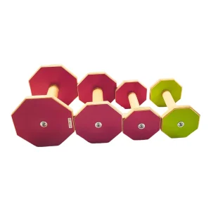 LGapporter lydighetsapport cerise S