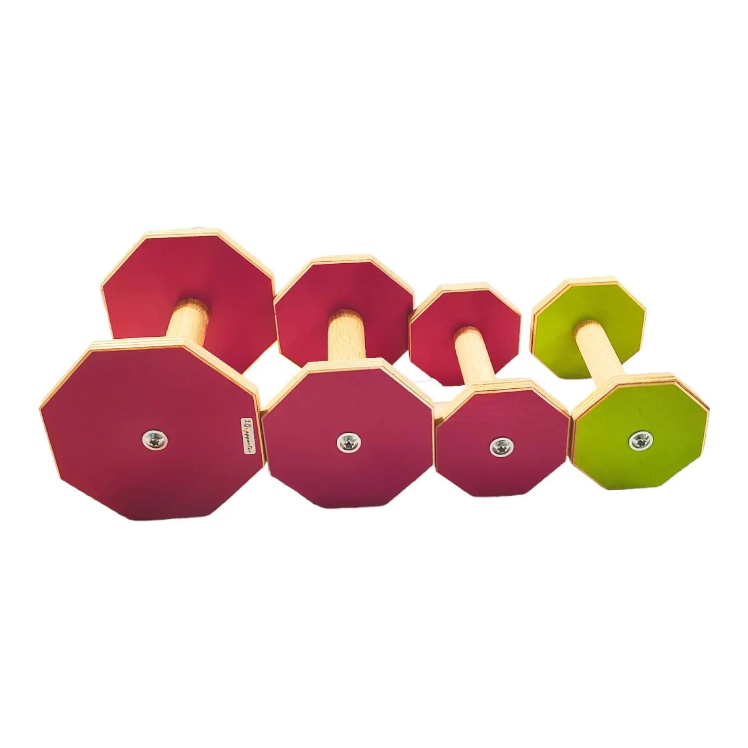 LGapporter lydighetsapport cerise S
