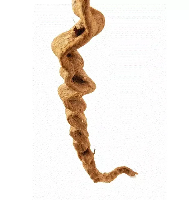 LIANE AquaDeco, 100cm. ø3-4cm.