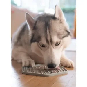 Licking Mat // Aktivitetsplate // Yoomy Plate