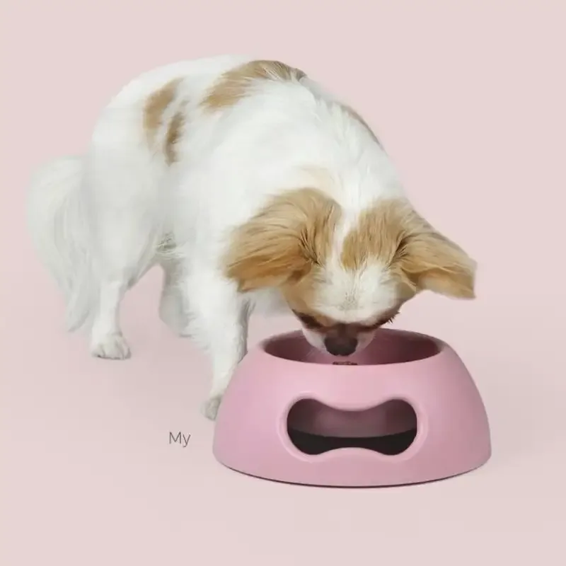 Liten matskål til hund og katt – rosa