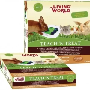 Living World 3 in 1 Teach n treat