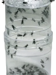 Lucky Reptile, Fly Feeder