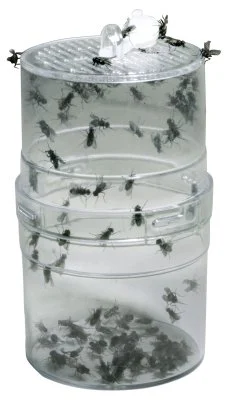 Lucky Reptile, Fly Feeder