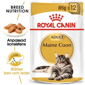 Maine Coon Adult V氓tf么r til katt