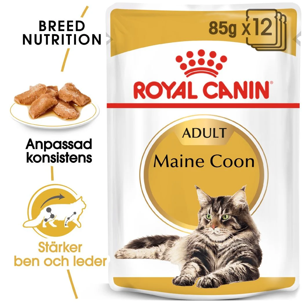 Maine Coon Adult V氓tf么r til katt