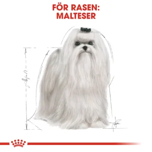 Maltese Adult T酶rrf么r for hund 1,5kg