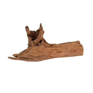 MANGROVEROT XXL – 50-65cm.