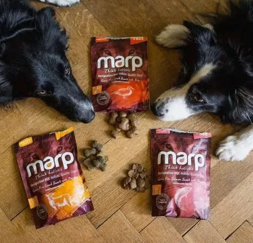 Marp gobiter And - Image 2