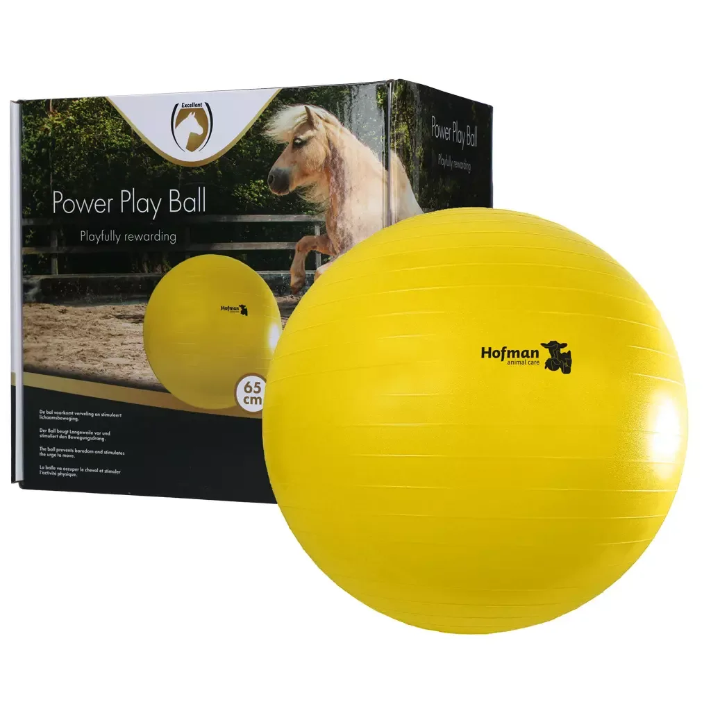 Maximus Power Play Ball 65cm