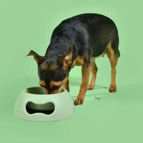 Medium matskål til hund og katt – grønn