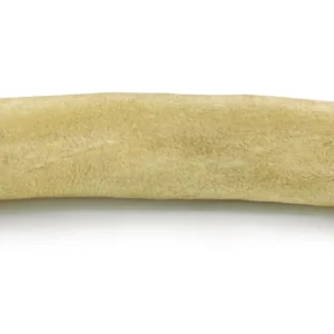 Moose Bullet 19cm
