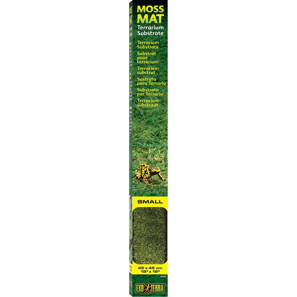 Moss Matta Small 45X45Cm Exoterra
