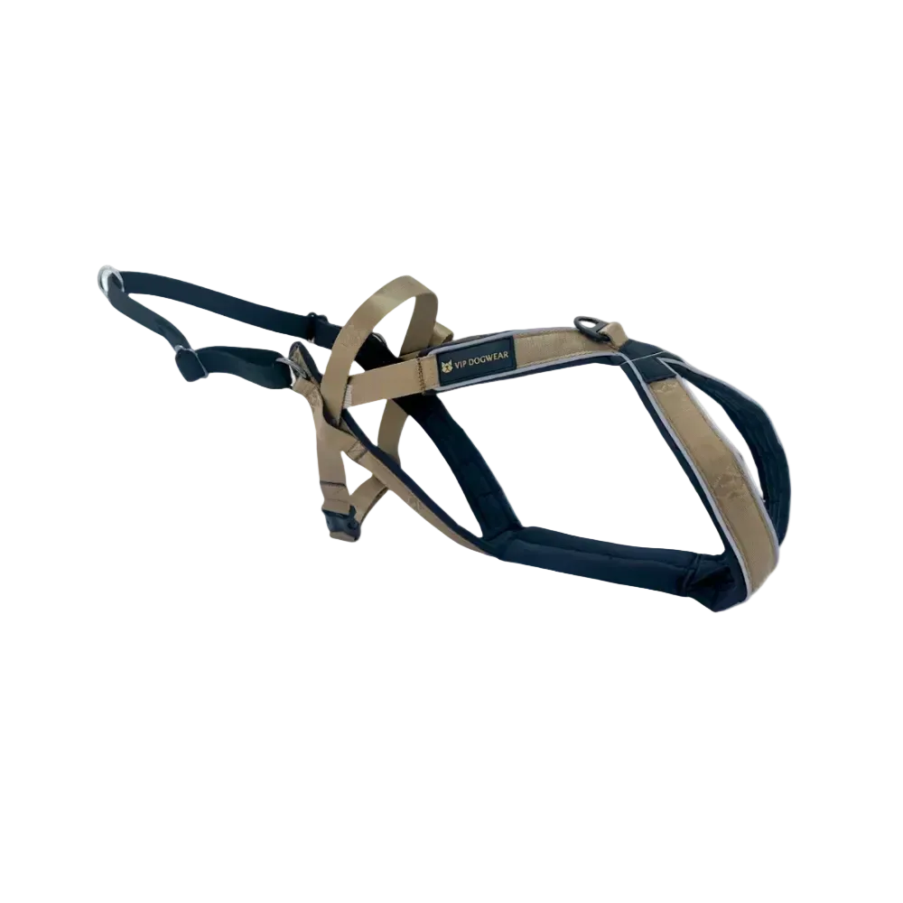Multisport sele