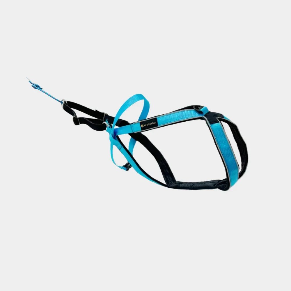 Multisport sele (Lang versjon)