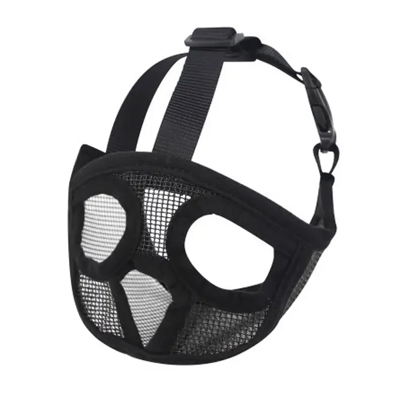 Munnkurv til hund – For kort snute