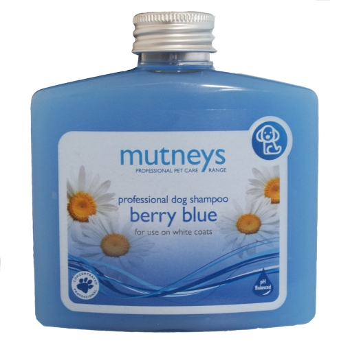 Mutneys Berry Blue shampo