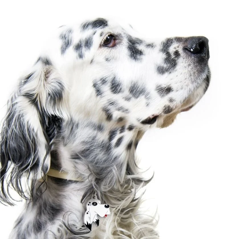 MyFamily Engelsk Setter IDtag - Image 2