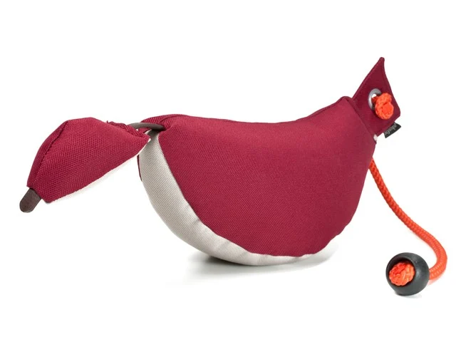 Mystique® Bird Dog Dummy Trainer