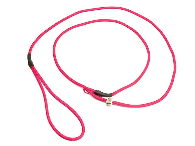 Mystique Field trial moxon leash 4 mm